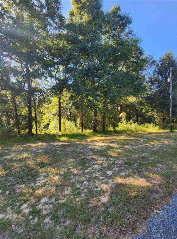 Vacant Land For Sale - 5507 Henry Road<br/> Mobile County, Eight Mile, AL 36613