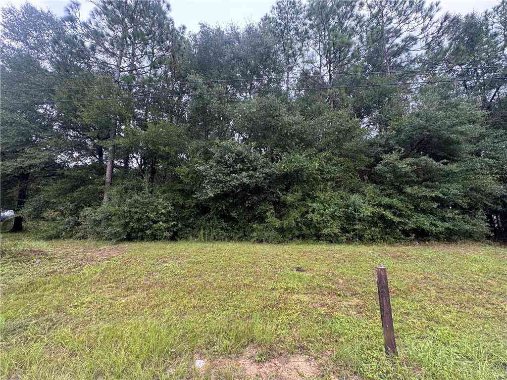 Vacant Land For Sale - Wellborn Woods Drive<br/> Mobile County, Eight Mile, AL 36613