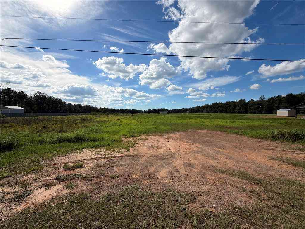 Vacant Land For Sale - 9875 Hardy Drive<br/> Mobile County, Creola, AL 36525