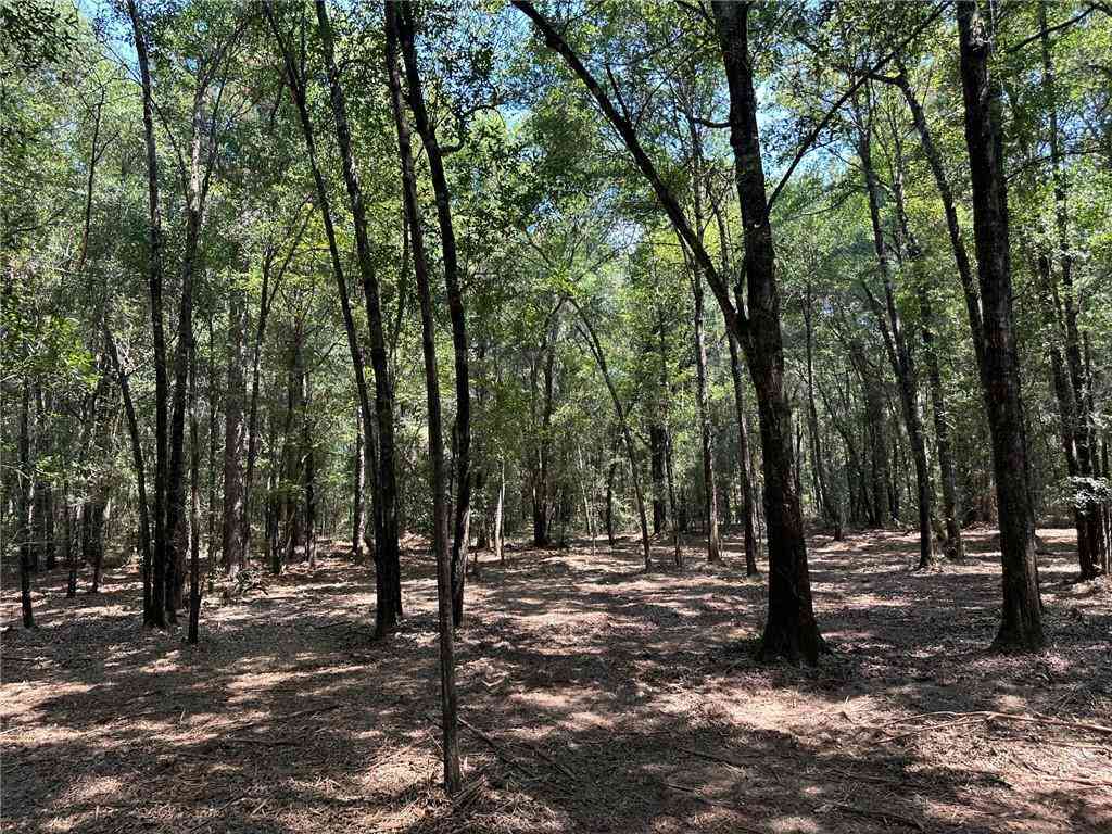 Vacant Land For Sale - Danner Road<br/> Mobile County, Wilmer, AL 36587