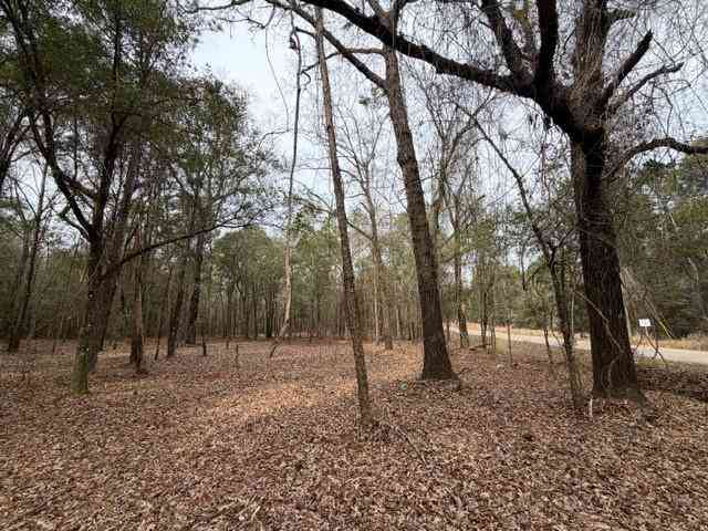Vacant Land For Sale - Danner Road<br/> Mobile County, Wilmer, AL 36587