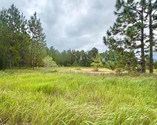 Vacant Land For Sale - S Schillinger Road<br/> Mobile County, Mobile, AL 36695