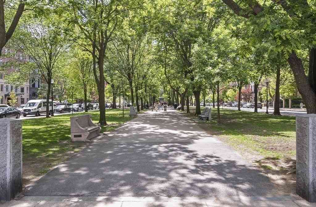 Condo For Rent - 2 Commonwealth Avenue #8G<br/> Boston, MA 02116