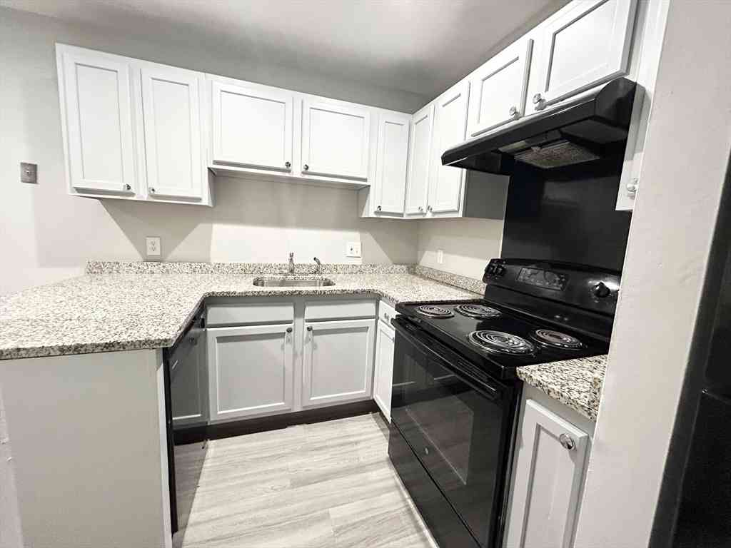 Condo For Rent - 15 Ruggles #2<br/> Boston, MA 02119