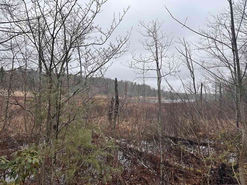Vacant Land For Sale - 15B-7 E Otis<br/> Otis, MA 01253