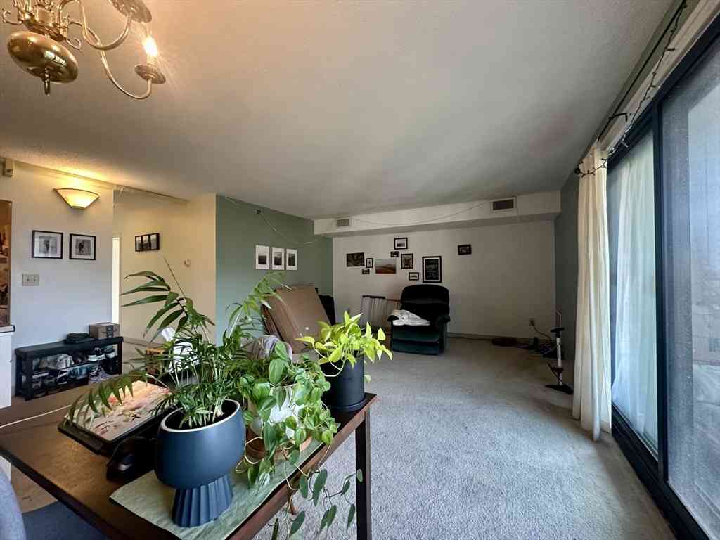 Apartment For Rent - 49 Marion Street #8A<br/> Brookline, MA 02446