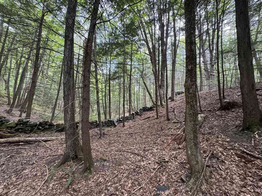 Vacant Land For Sale - North Street<br/> Whately, MA 01093