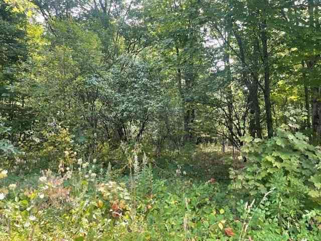 Vacant Land For Sale - 43 Longley Rd<br/> Middlesex County, Shirley, MA 01464