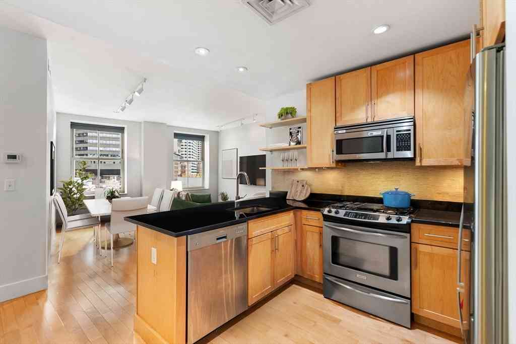 Condo For Rent - 181 Essex St #E402<br/> Boston, MA 02111