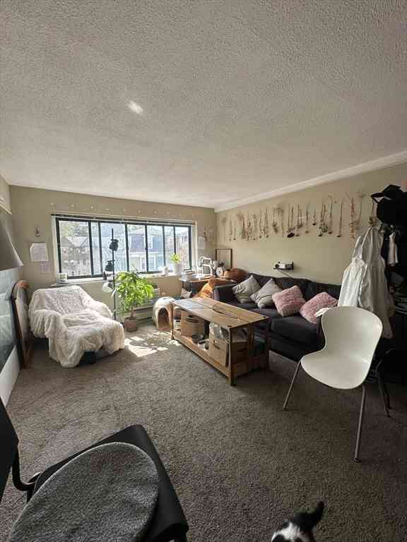 Apartment For Rent - 375 Harvard St. #20<br/> Cambridge, MA 02139