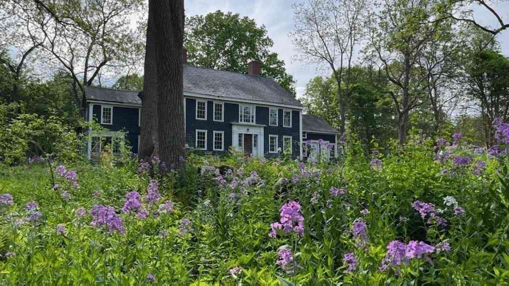 Condo For Rent - 25 Bulkeley Rd #CENTER<br/> Littleton, MA 01460