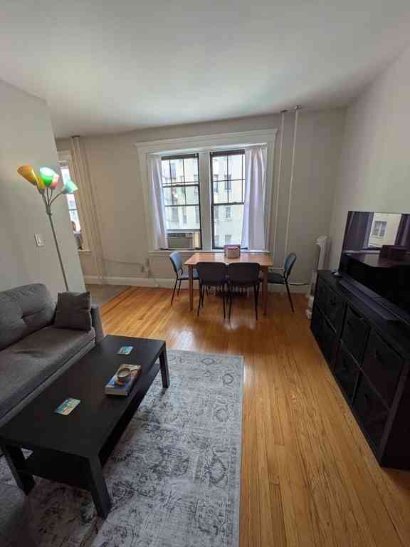 Condo For Rent - 370 Chestnut Hill Ave #34<br/> Boston, MA 02135