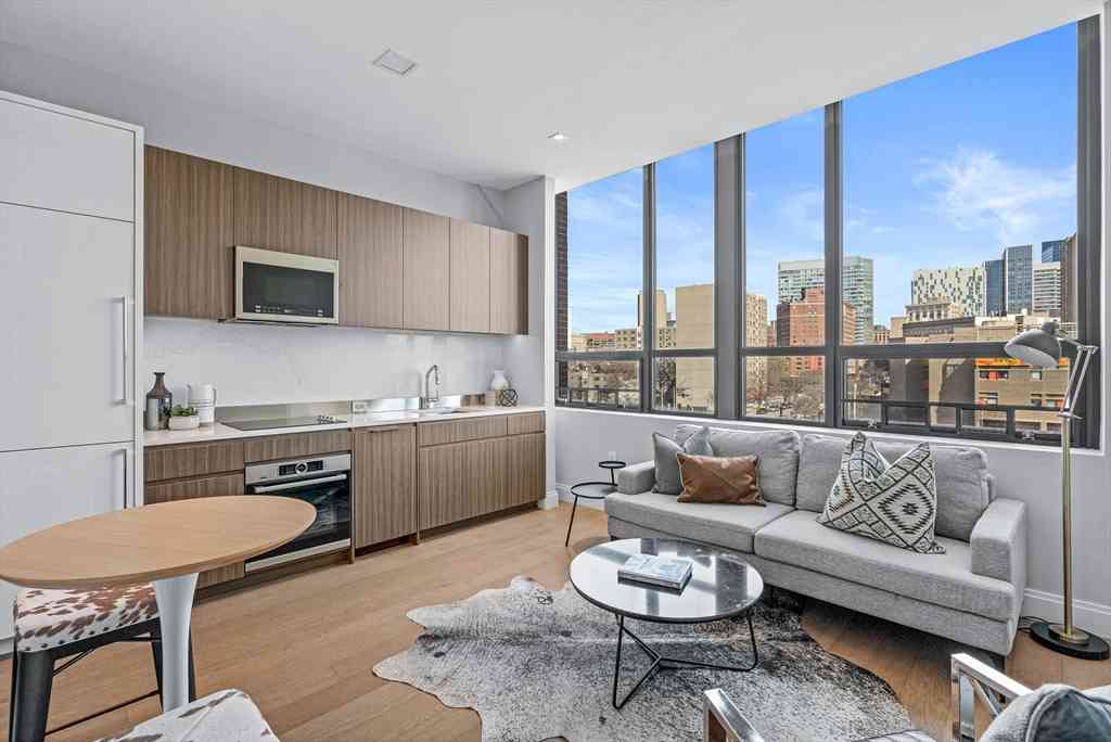 Condo For Sale - 100 Shawmut Ave #506<br/> Boston, MA 02118