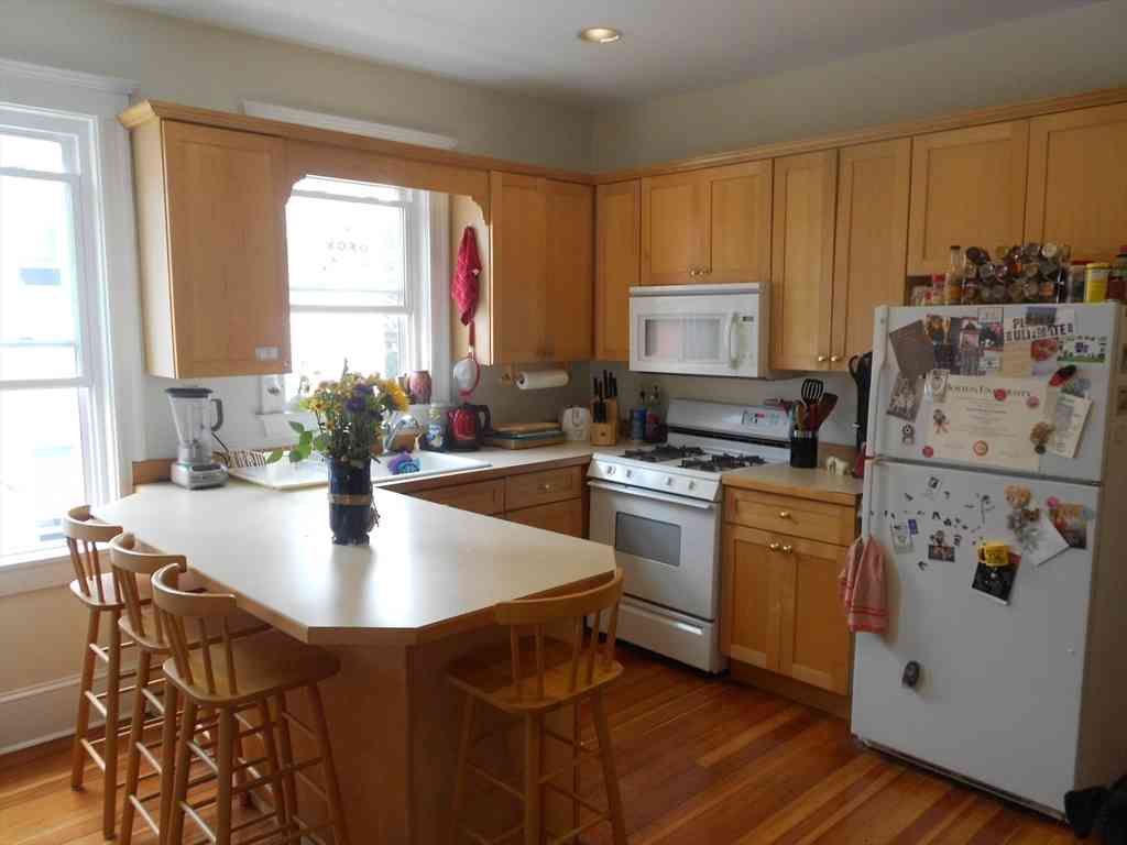 Condo For Rent - 5 Newton Street #2<br/> Cambridge, MA 02139