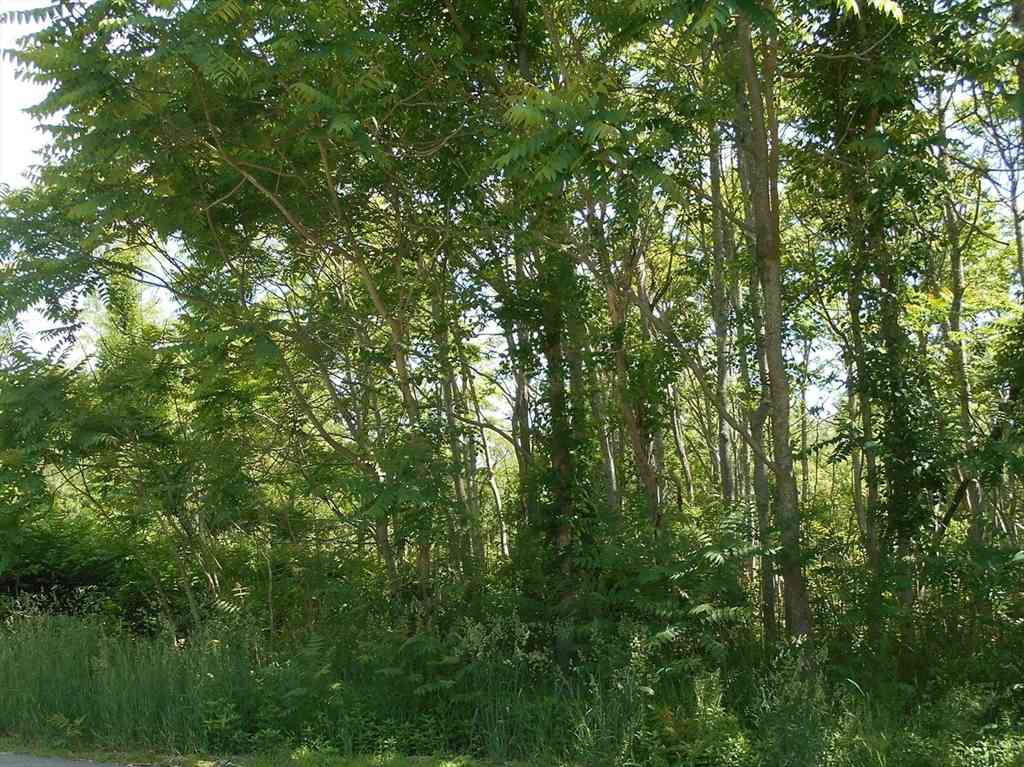 Vacant Land For Sale - 21 Papermill Road<br/> Wareham, MA 02576