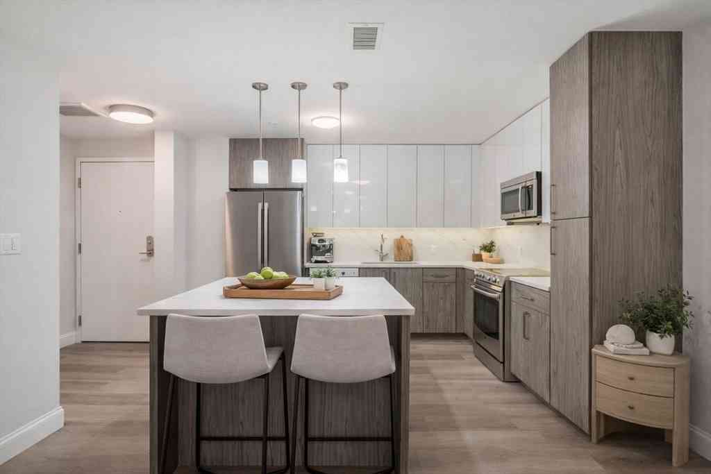 Condo For Sale - 771 Harrison Ave #201<br/> Boston, MA 02118