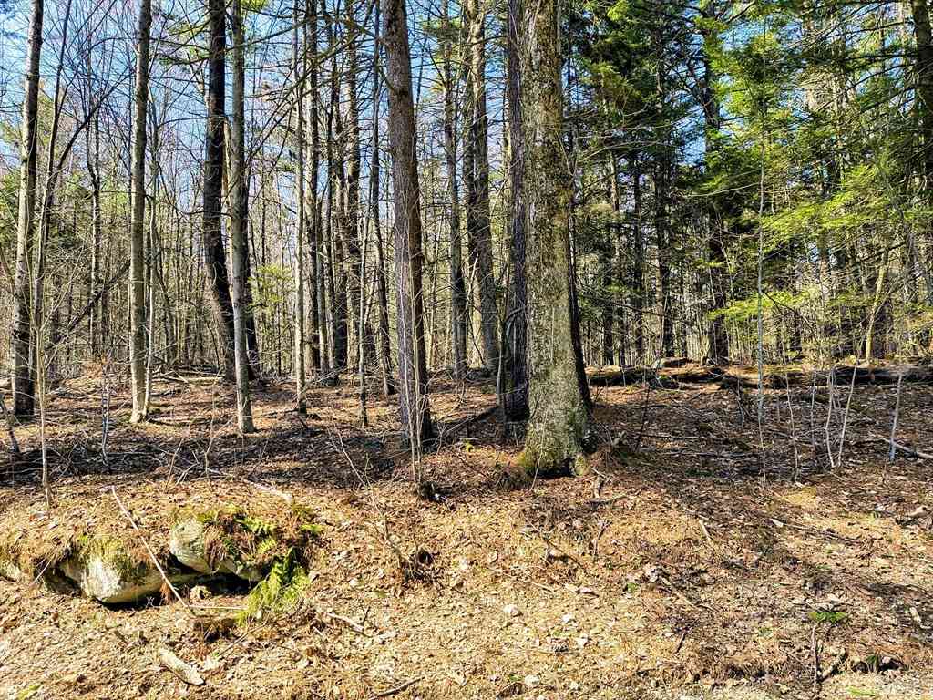 Vacant Land For Sale - LOT 16/11 Porcupine Courts<br/> Becket, MA 01223