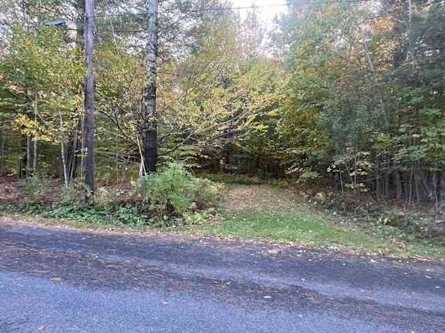 Vacant Land For Sale - Stryker Road<br/> Florida, MA 01247
