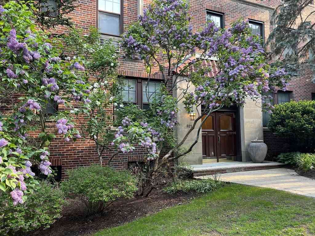Condo For Sale - 321 Tappan St #3<br/> Brookline, MA 02445
