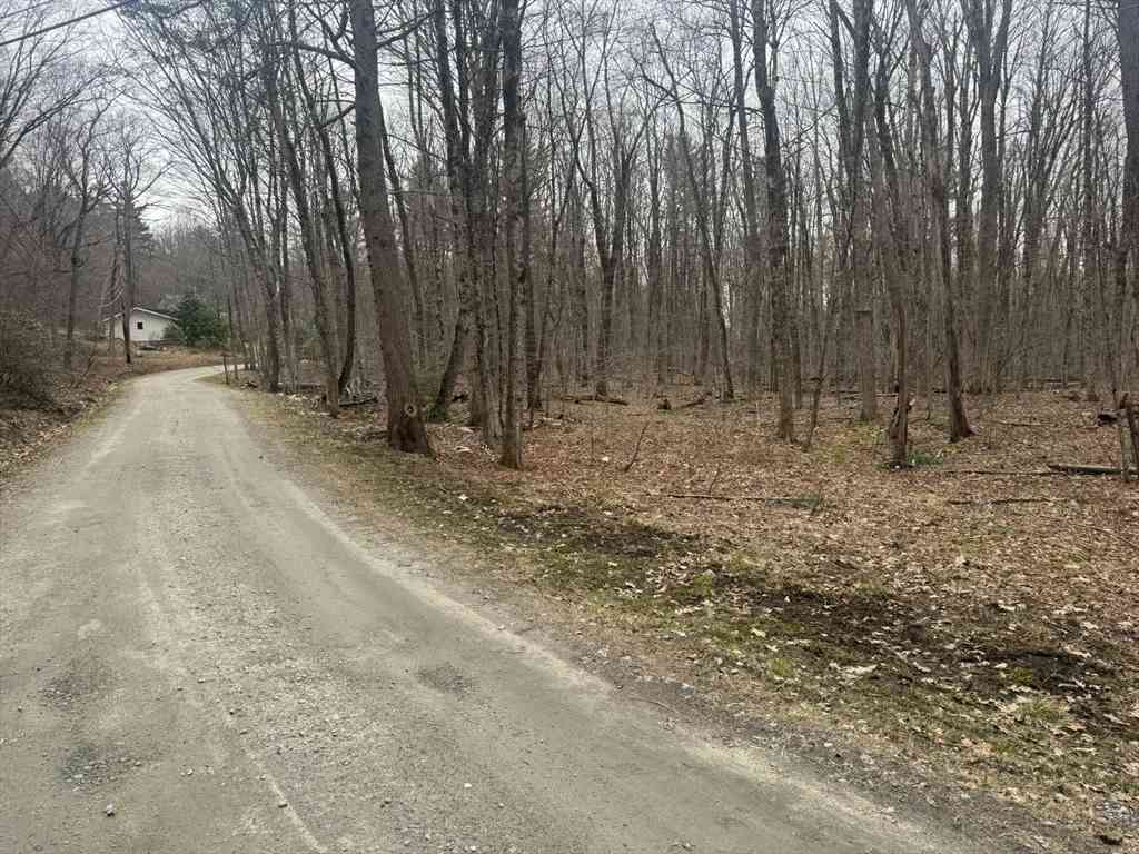 Vacant Land For Sale - 00 Hayes Hill<br/> Otis, MA 01253