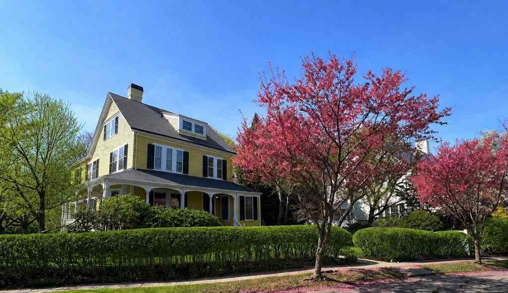 Homes For Sale - 6 Mercer Circle<br/> Cambridge, MA 02138