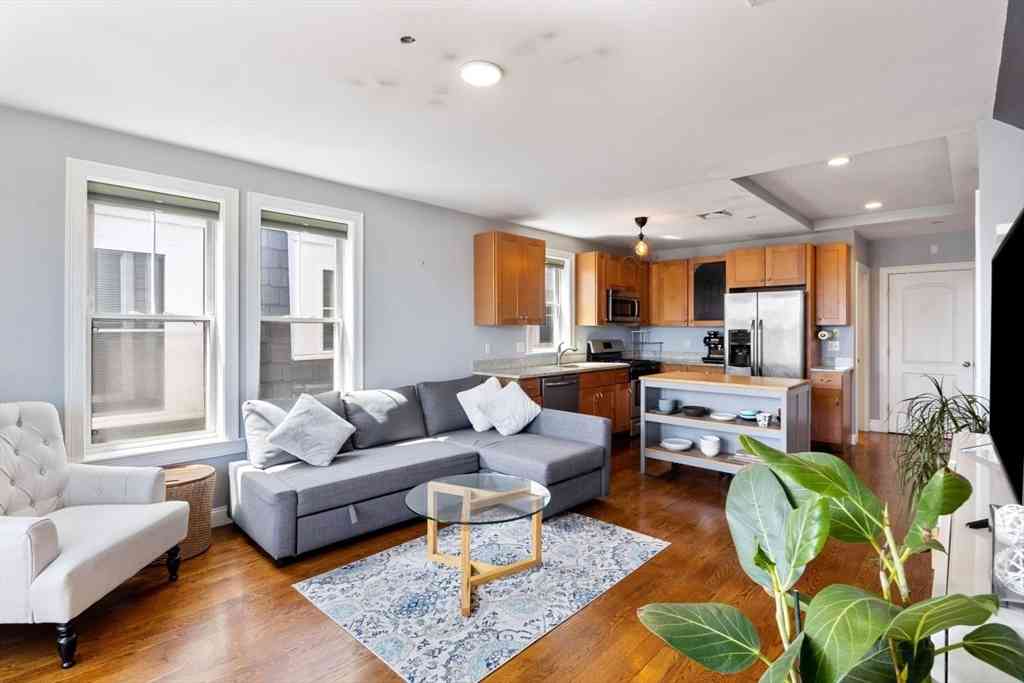 Condo For Sale - 113 Pleasant St #6<br/> Boston, MA 02125