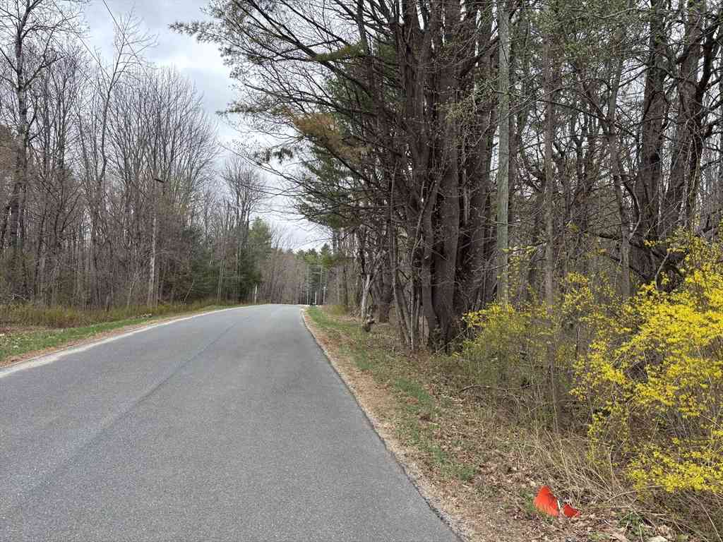Vacant Land For Sale - 87 South St<br/> Plainfield, MA 01026