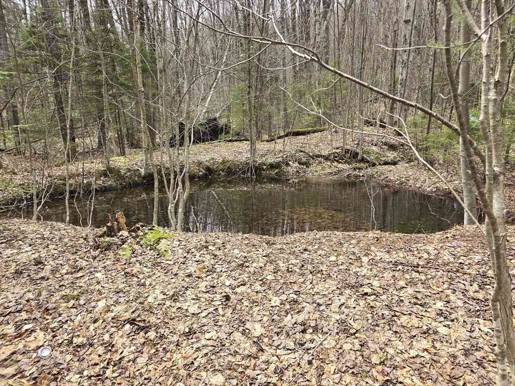 Vacant Land For Sale - Magee Rd<br/> Stamford, VT 05352