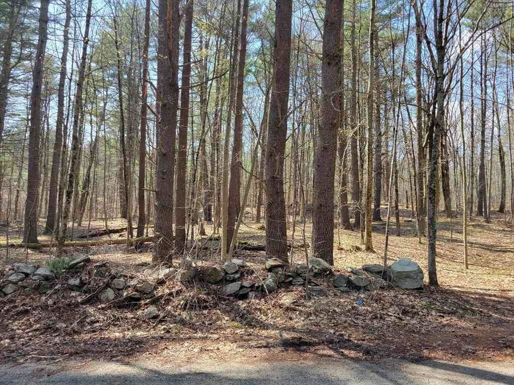 Vacant Land For Sale - LOT 3 Daniels Rd<br/> Charlton, MA 01507