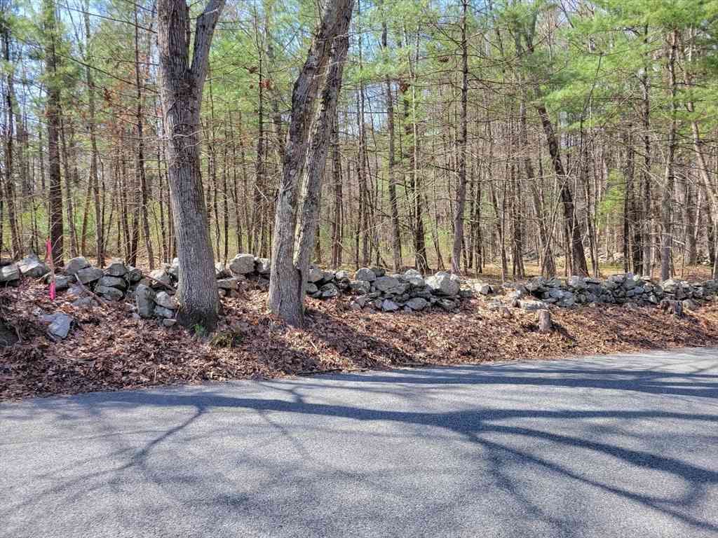 Vacant Land For Sale - LOT 4 Daniels Rd<br/> Charlton, MA 01507