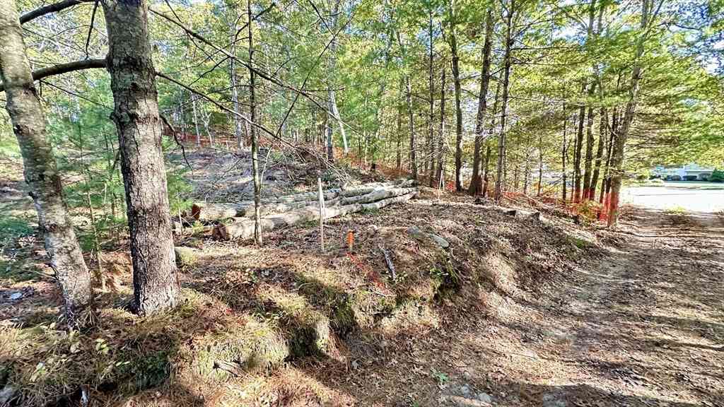 Vacant Land For Sale - 221 Beaver Dam Rd<br/> Plymouth, MA 02360