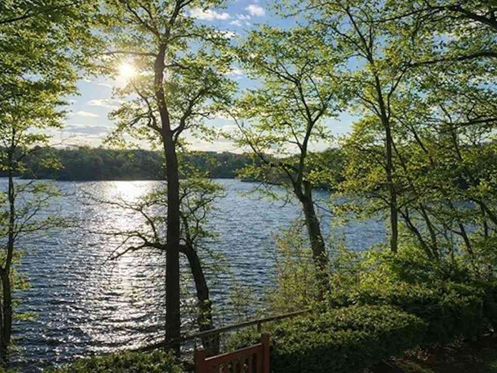 Homes For Sale - 93-95 Riverview Avenue<br/> Middlesex County, Waltham, MA 02453