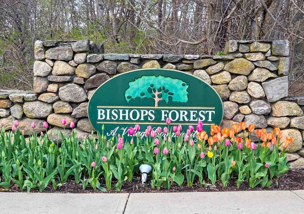 Condo For Sale - 231 Bishops Forest Dr. #231<br/> Waltham, MA 02452