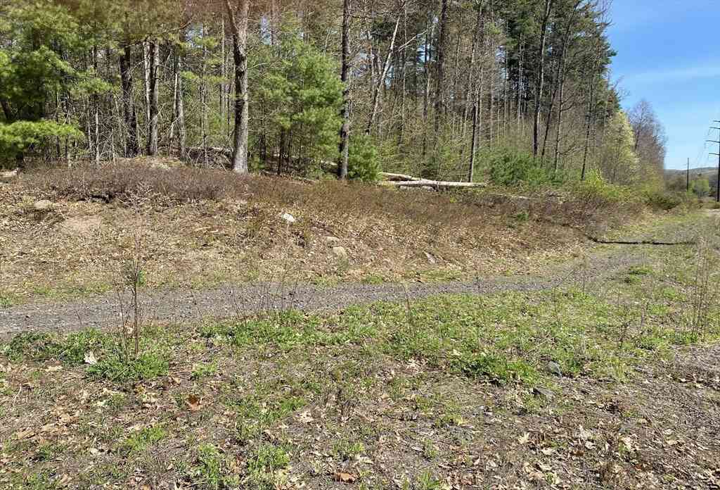 Vacant Land For Sale - LOT 7199 Pequot St<br/> Southampton, MA 01073
