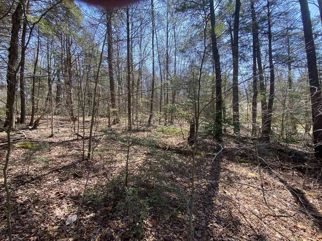 Vacant Land For Sale - LOT 43 South Village Rd<br/> Hampden County, Tolland, MA 01034