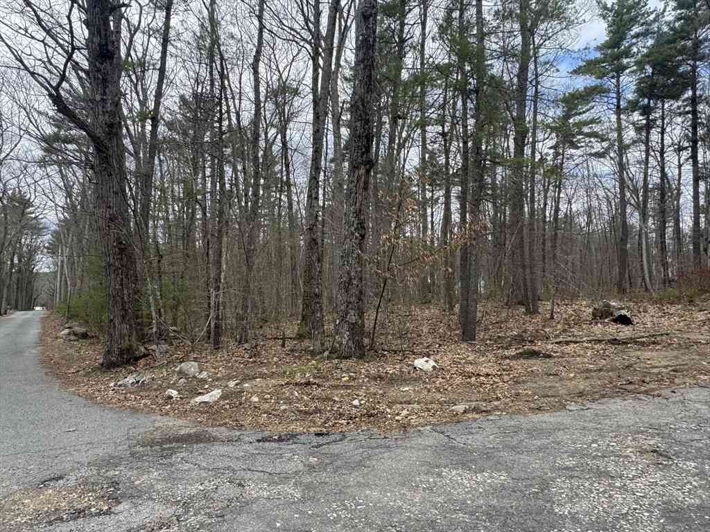 Vacant Land For Sale - LOT 4 Murphy And Williamsville Roads<br/> Barre, MA 01005