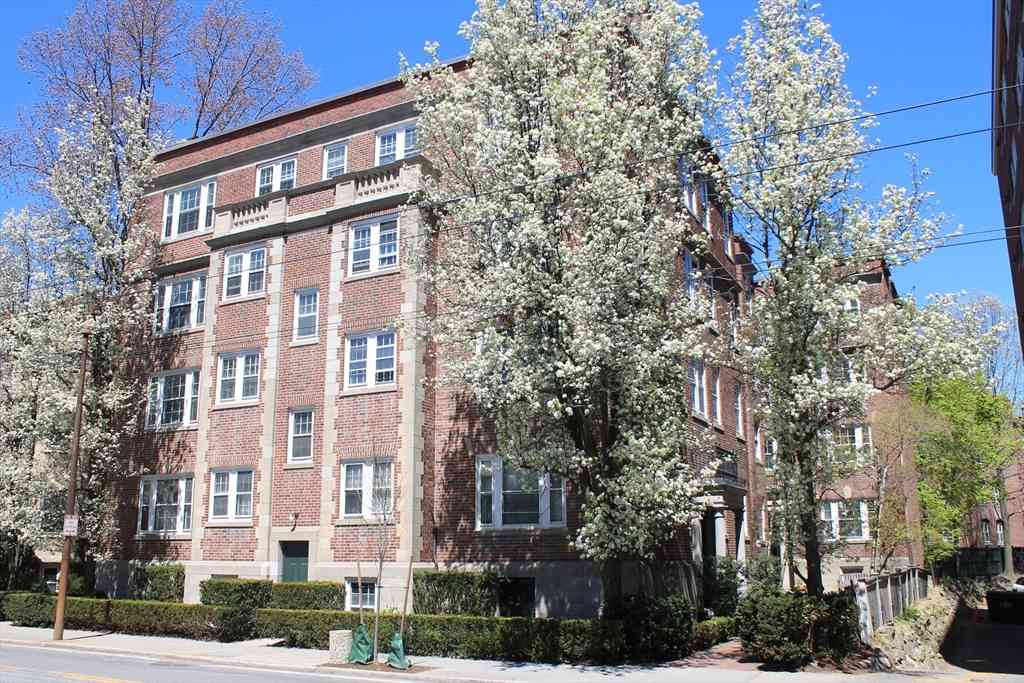 Condo For Rent - 31 Concord Ave #11<br/> Cambridge, MA 02138