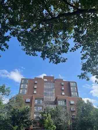Condo For Rent - 1265 Beacon Street #603<br/> Brookline, MA 02446
