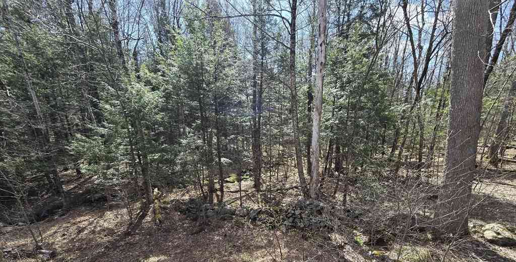 Vacant Land For Sale - 360 Jacob's Ladder Rd.<br/> Becket, MA 01223