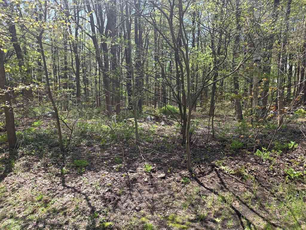 Vacant Land For Sale - LOT 1 Winter St<br/> Orange, MA 01364