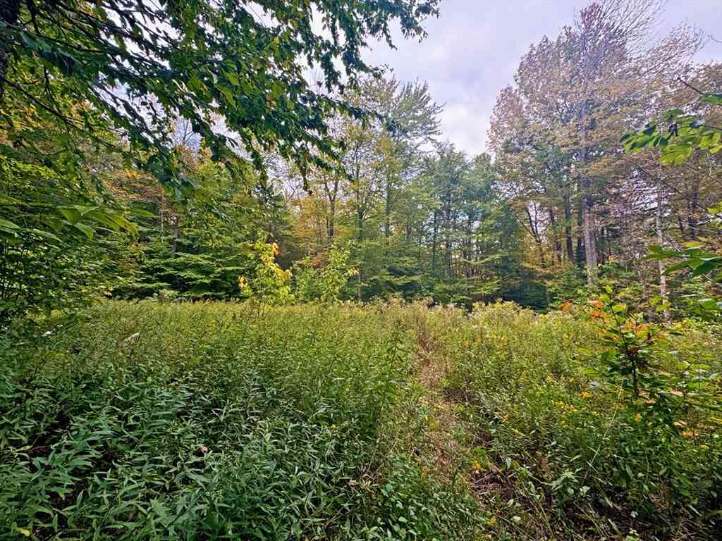 Vacant Land For Sale - 60 Stone Hill Road<br/> Rowe, MA 01367
