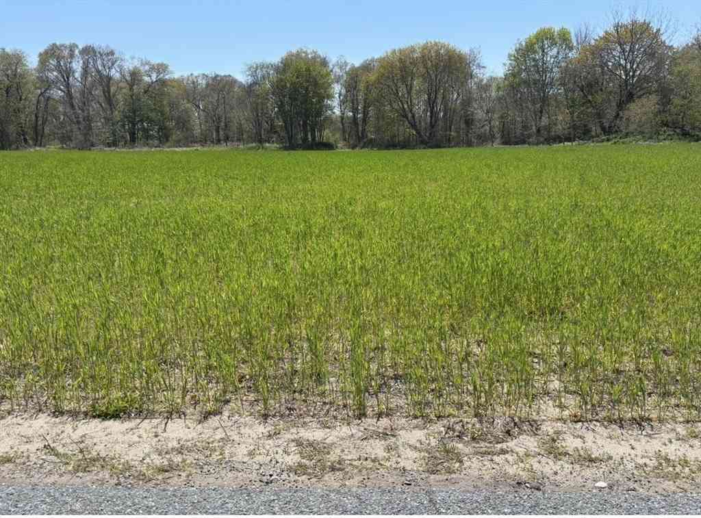 Vacant Land For Sale - 205R Providence St. Bldr. Lot 4<br/> Rehoboth, MA 02769