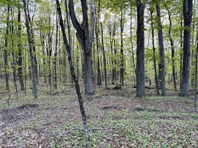 Vacant Land For Sale - North Main St<br/> Petersham, MA 01366