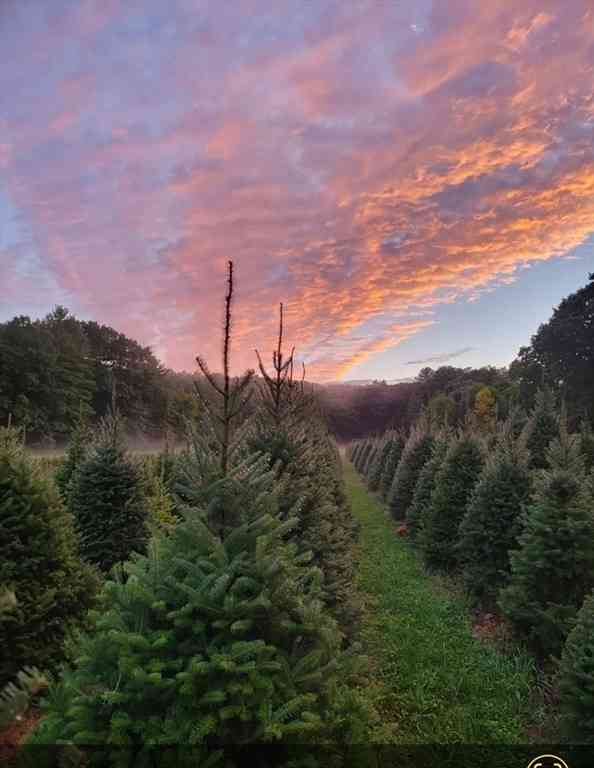 Vacant Land For Sale - 25 Birch St<br/> Norfolk County, Millis, MA 02054