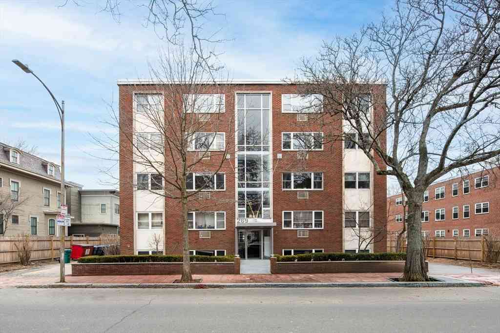 Condo For Rent - 269 Harvard St #19<br/> Cambridge, MA 02139