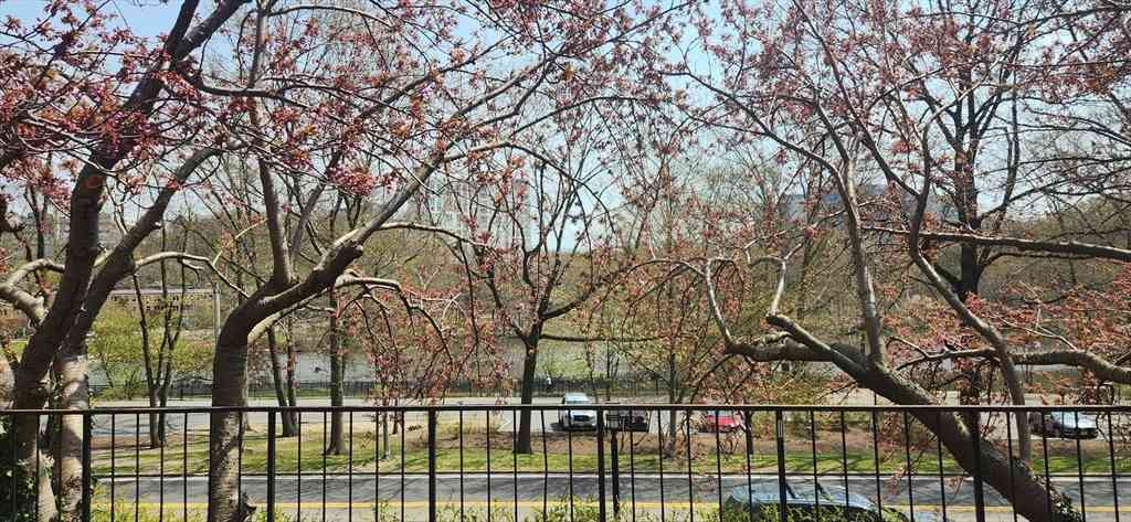 Condo For Rent - 77 Pond Ave #507<br/> Brookline, MA 02445