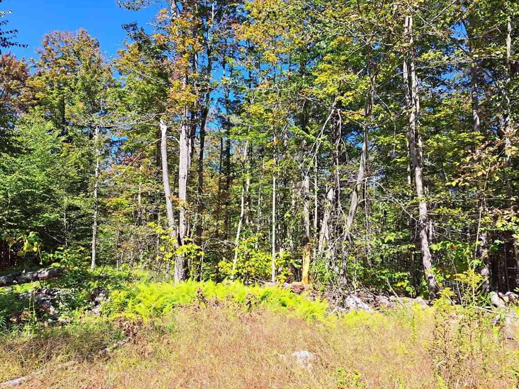 Vacant Land For Sale - LOT B Beulah Land Rd<br/> Hampden County, Blandford, MA 01008