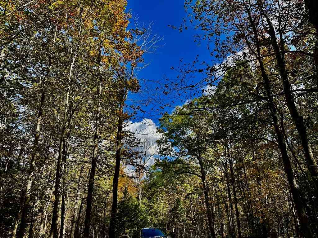 Vacant Land For Sale - 88 Church Rd<br/> Florida, MA 01247