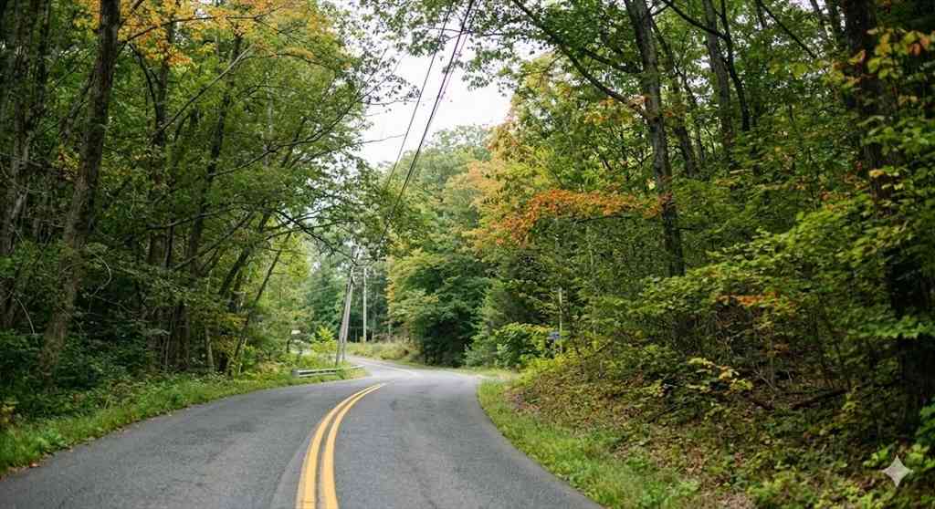 Vacant Land For Sale - 00 William Holmes Rd<br/> Becket, MA 01223