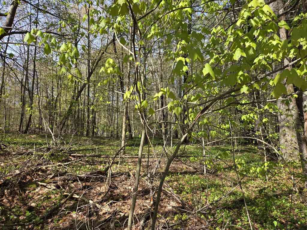 Vacant Land For Sale - LOT 12W Chicopee Drive<br/> Worcester County, Hubbardston, MA 01452